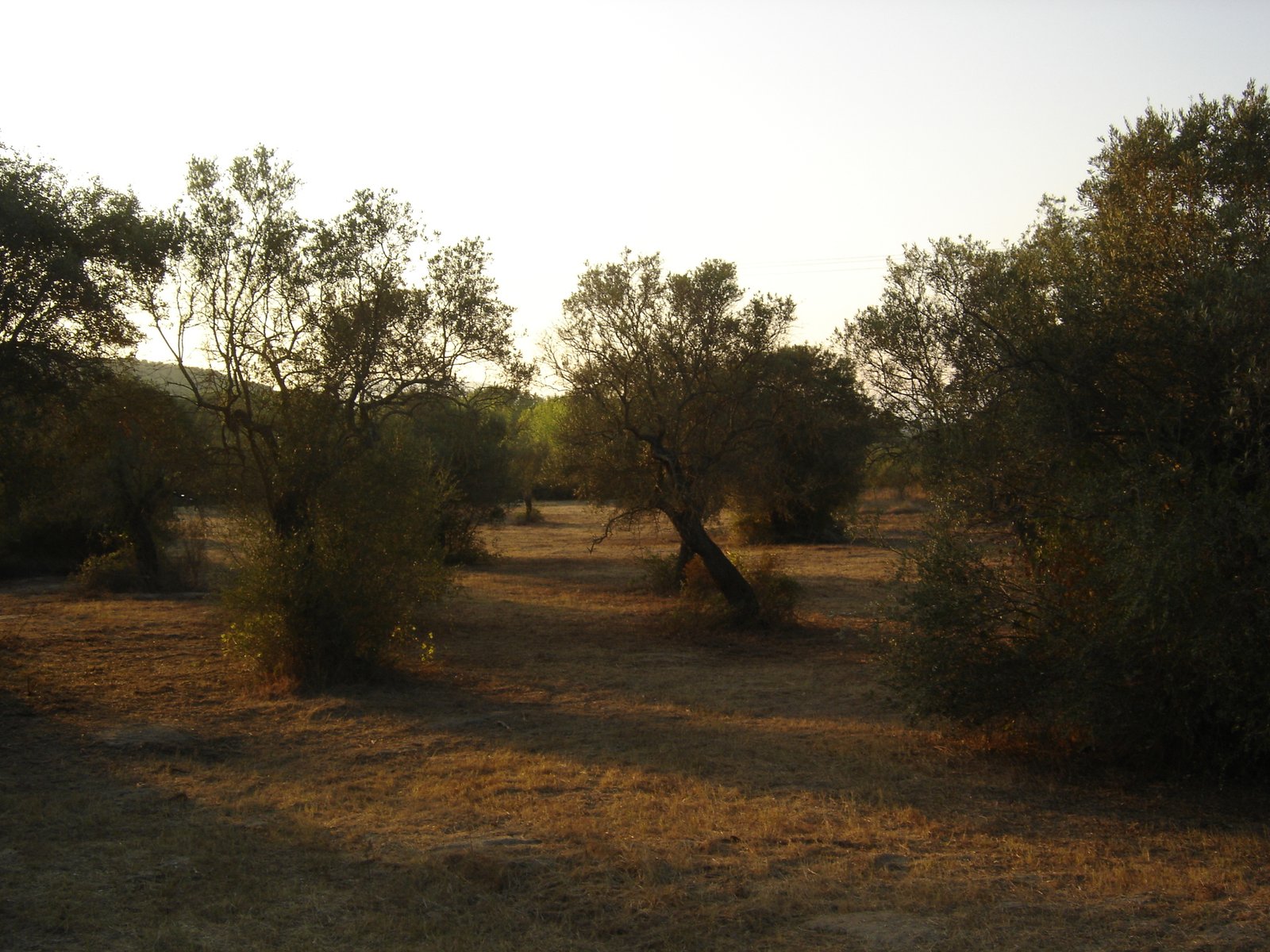 Vourvourou Dimitrakia plot for sale